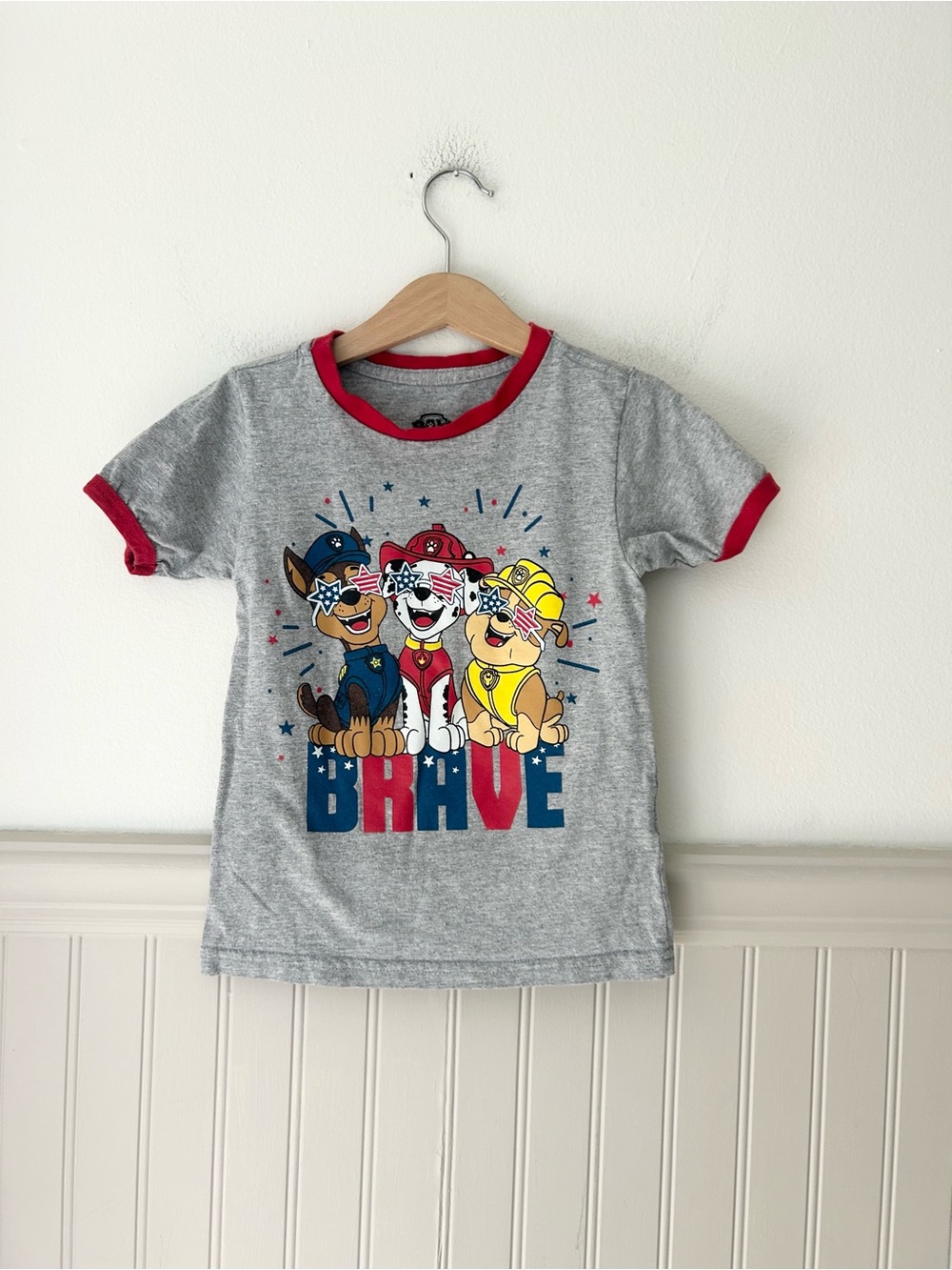 Paw Patrol Boys 4T Gray Graphic Tee Red Trim Character Shirt